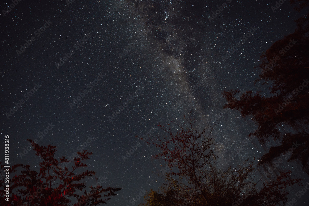 a night sky with a few lights, and some trees a night sky with a few lights, and some trees