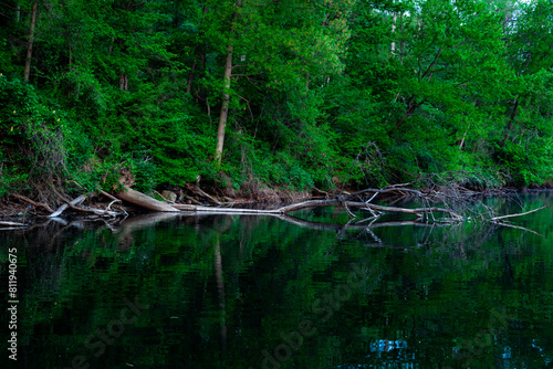 a boat is docked on the shore of a river surrounded by greenery