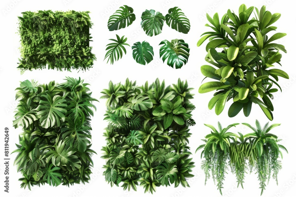 Collection of lush garden partitions made from exotic foliage, hand-crafted
