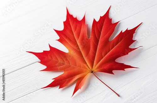 Red maple leaf on white background. Autumn season or Canada symbol maple leaf. Card with copy space