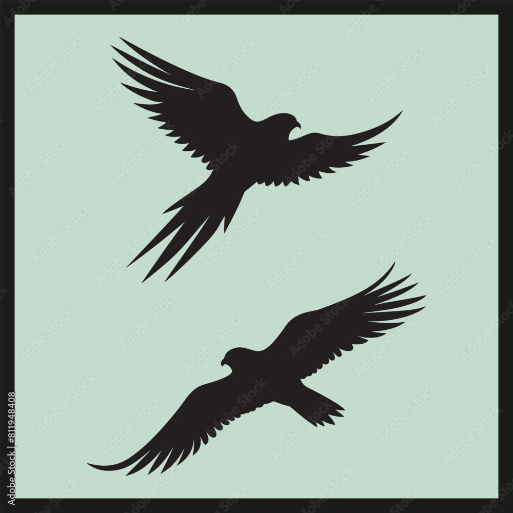 Fototapeta premium Nighthawk black silhouette set vector