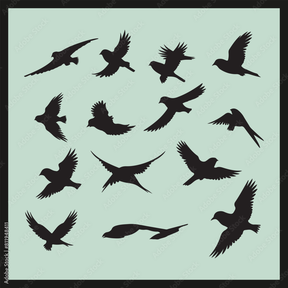 Obraz premium Nighthawk black silhouette set vector