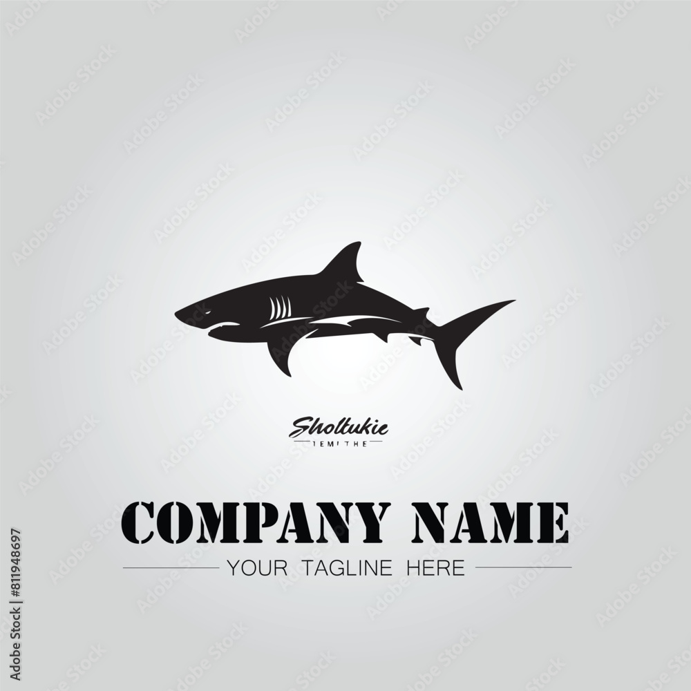 Shark silhouette illustration design for company logo vector image on the white background Shark silhouette illustration design for company logo vector image on the white background