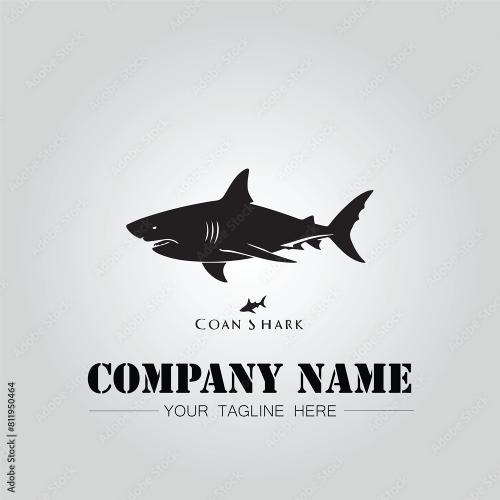 Shark silhouette illustration design for company logo vector image on the white background Shark silhouette illustration design for company logo vector image on the white background