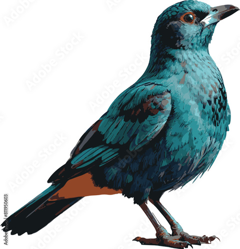Birds Vector Design