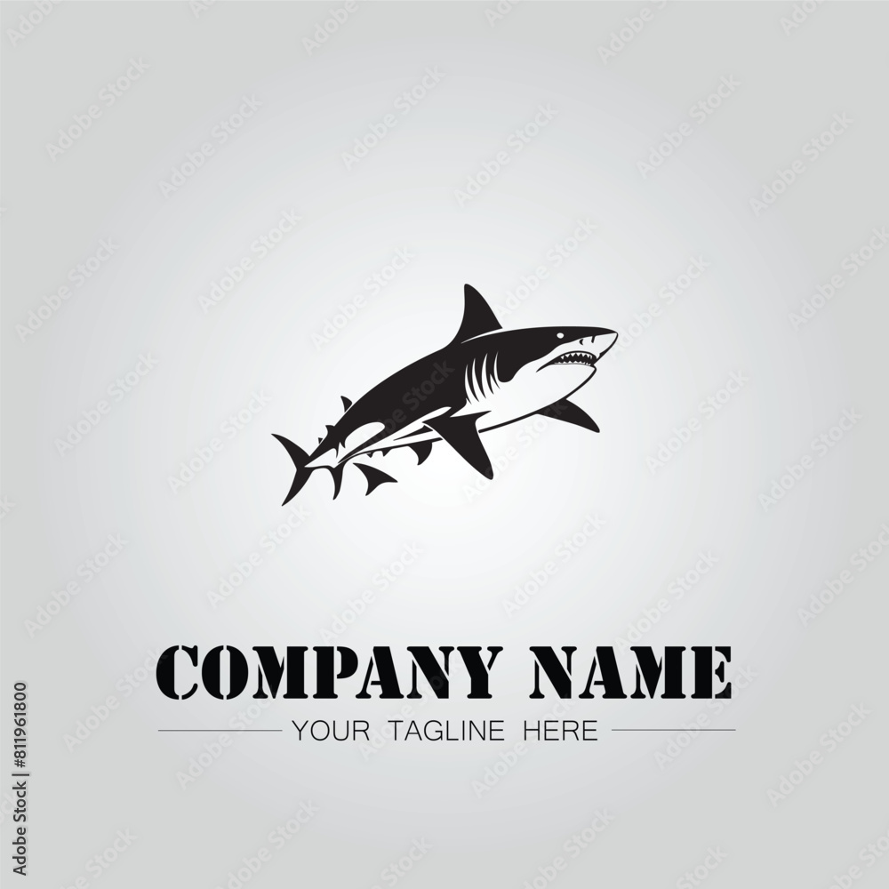 Shark silhouette illustration design for company logo vector image on the white background Shark silhouette illustration design for company logo vector image on the white background