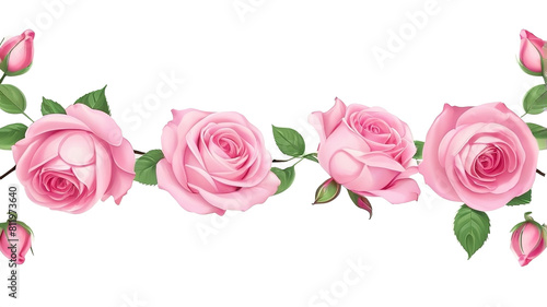 vine rose flowers pink beautiful colorful. vectoe  isolated background