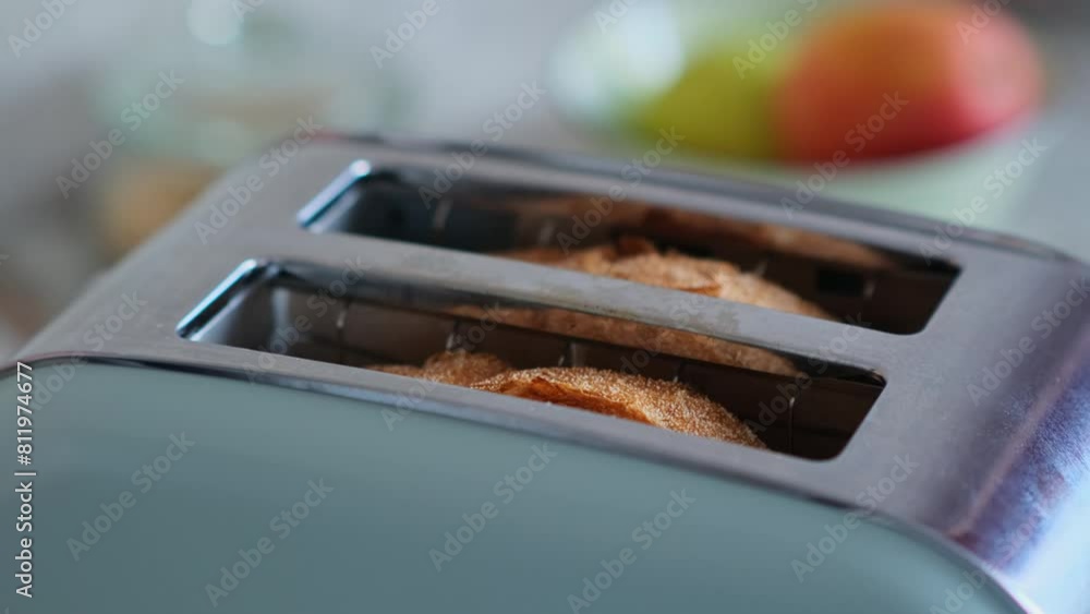 Delicious toast popping out of toaster, close-up. Popular kitchen appliance for making a healthy breakfast. Delicious toast popping out of toaster, close-up. Popular kitchen appliance for making a healthy breakfast.