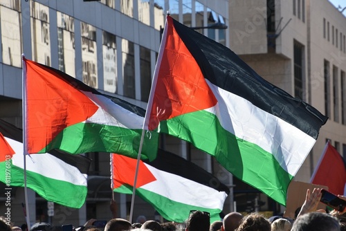 Palestinian flags