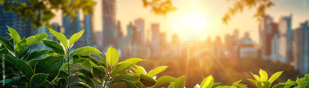 Implementation of eco-friendly energy programs in an environmentally conscious urban area Implementation of eco-friendly energy programs in an environmentally conscious urban area