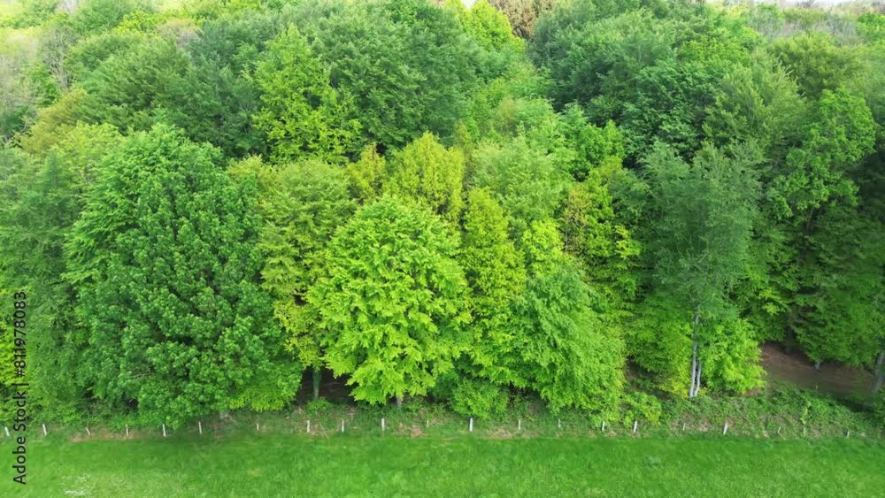 Drone view from above of a mixed deciduous forest with many different shades of green. Drone view from above of a mixed deciduous forest with many different shades of green.
