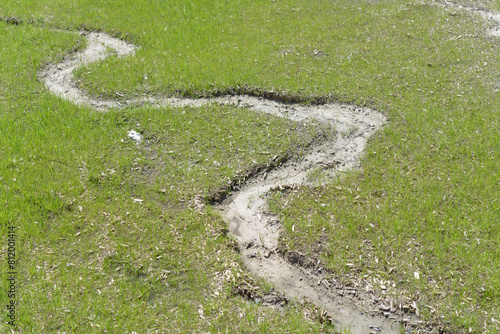 rill or gully cuts a meandering path on a new lawn