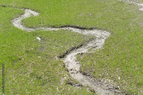 rill or gully cuts a meandering path on a new lawn photo