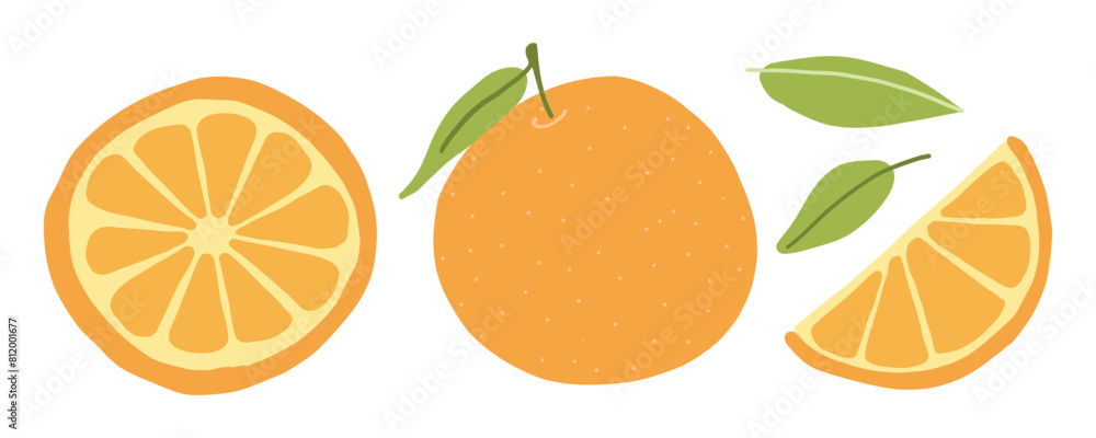 Cartoon vector illustration of whole and sliced oranges with leaves isolated on white background. Cartoon vector illustration of whole and sliced oranges with leaves isolated on white background.