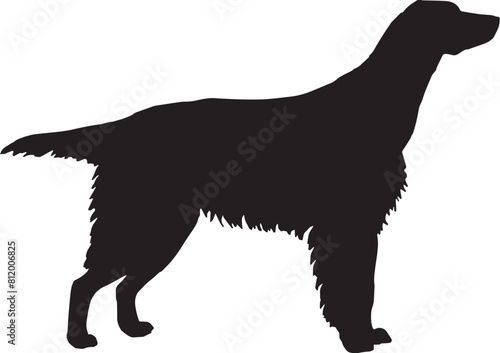 Dogs Silhouettes. walk, training, men, human, exhibition, owner, figure, display, groups, contour, people, lifestyle, outdoors, leash, fun, sitting, friendly, dachshund, domestic, character, illustrat