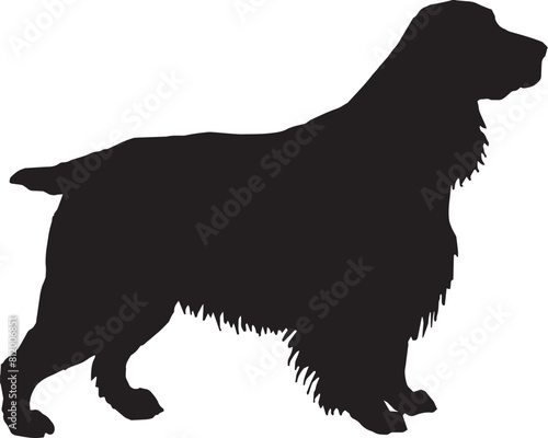 Dogs Silhouettes. walk, training, men, human, exhibition, owner, figure, display, groups, contour, people, lifestyle, outdoors, leash, fun, sitting, friendly, dachshund, domestic, character, illustrat