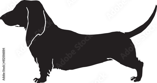 Dogs Silhouettes. walk, training, men, human, exhibition, owner, figure, display, groups, contour, people, lifestyle, outdoors, leash, fun, sitting, friendly, dachshund, domestic, character, illustrat