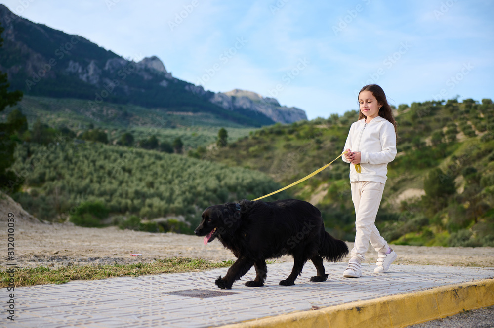 Adorable Caucasian child girl walking her pedigree dog, a black purebred cocker spaniel in the mountains nature outdoors. People. Nature and playing pets concept