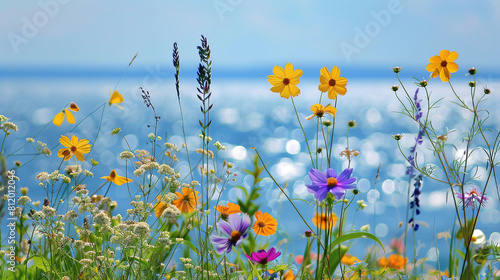 a field of wild flowers under the blue sky