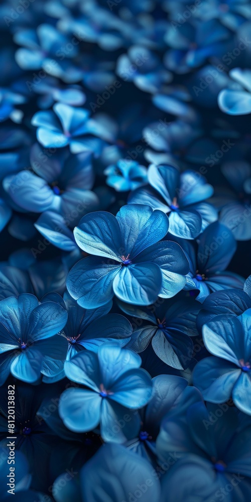 Blue flowers in full bloom Blue flowers in full bloom