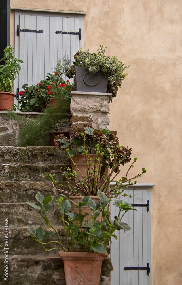 Naklejka premium balcony with flowers