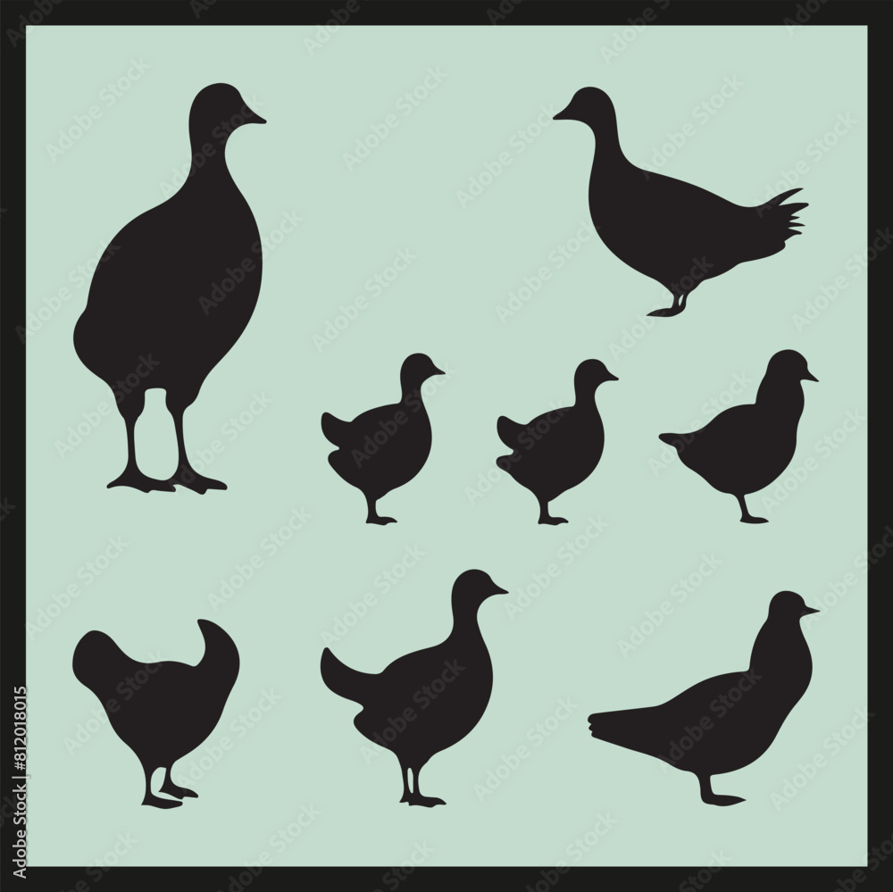 Dabchick black silhouette set vector Dabchick black silhouette set vector