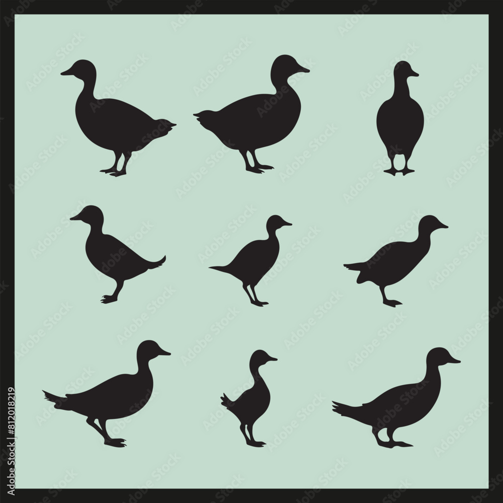 Fototapeta premium Dabchick black silhouette set vector