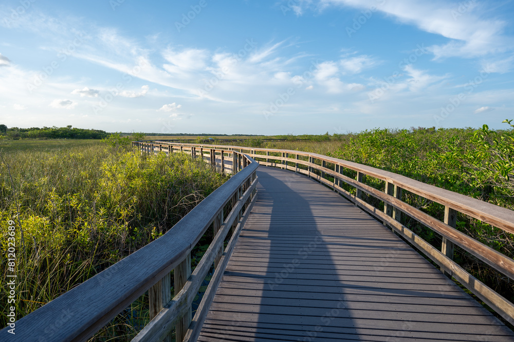 Anhinga Trail elevated boardwalk over wetlands of Everglades National Park, Florida on sunny summer day..