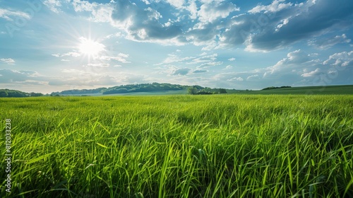 Wide-angle view of a pristine grassy meadow in the countryside