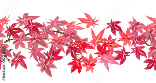seamless border with watercolor branches of red japanese maple.
