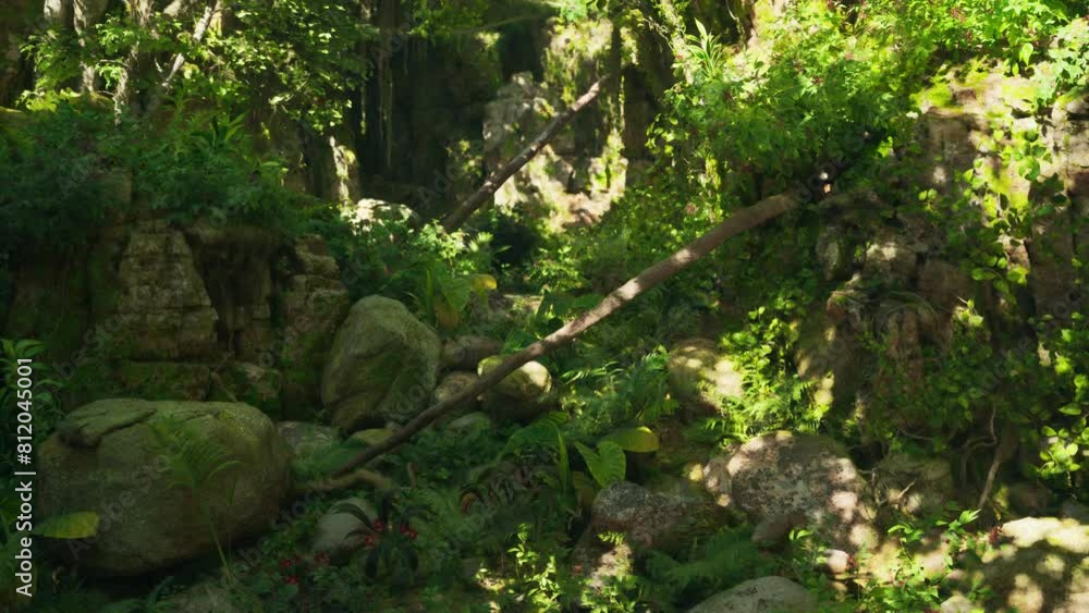 A dense and vibrant green forest with a multitude of towering trees. mountain path A dense and vibrant green forest with a multitude of towering trees. mountain path