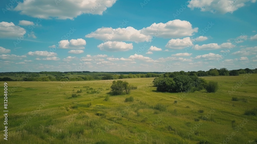 Aerial Field. Shot of a Big Open Field Under Cloudy Blue Skies