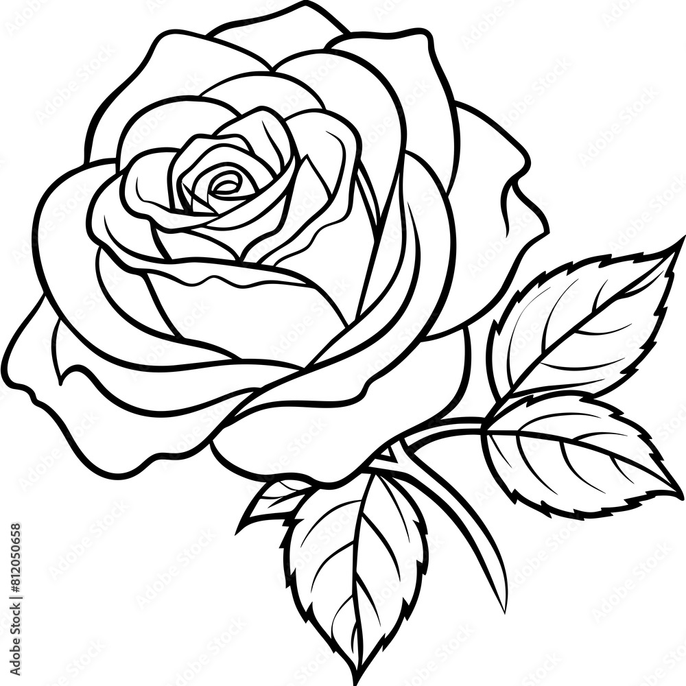 Rose flower outline coloring book page line art drawing vector illustration for children and adults Rose flower outline coloring book page line art drawing vector illustration for children and adults