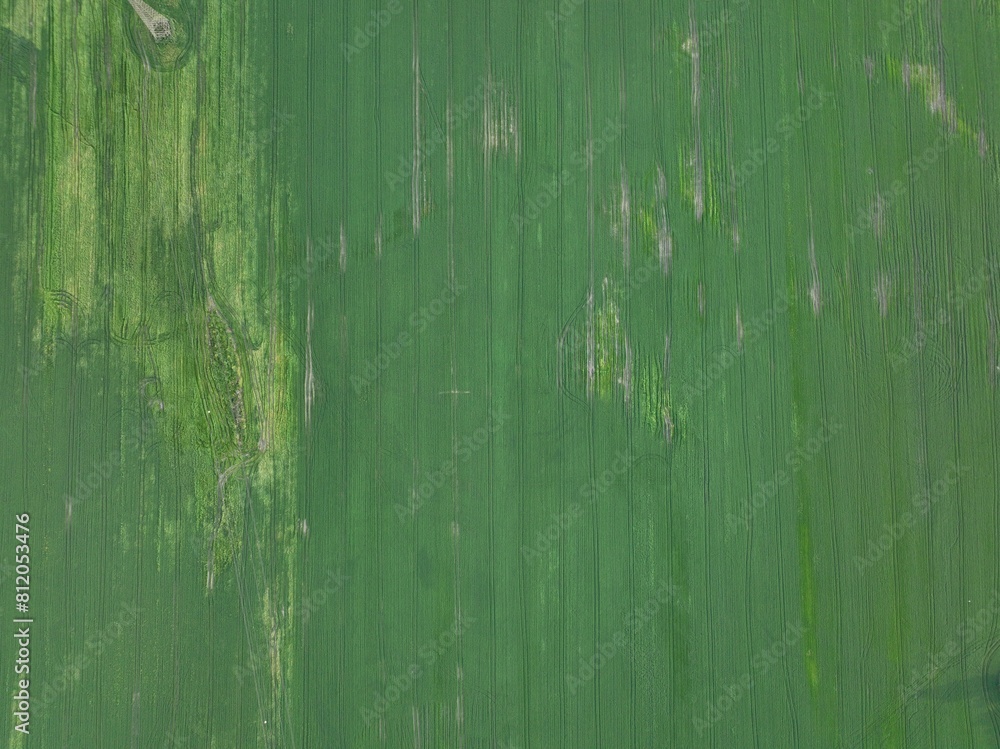 Aerial view of wheat, sunflower and canola fields. Big wide field view Aerial view of wheat, sunflower and canola fields. Big wide field view