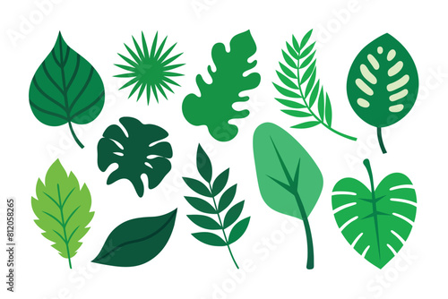 Set of tropical Leaves Vectors design
