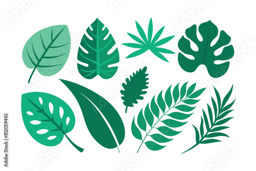 Set of tropical Leaves Vectors design