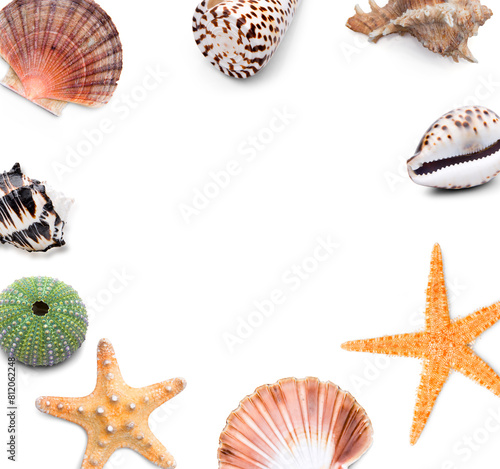 Gesammelte Muschheln und Schnecken als Bilderrahmen blanko