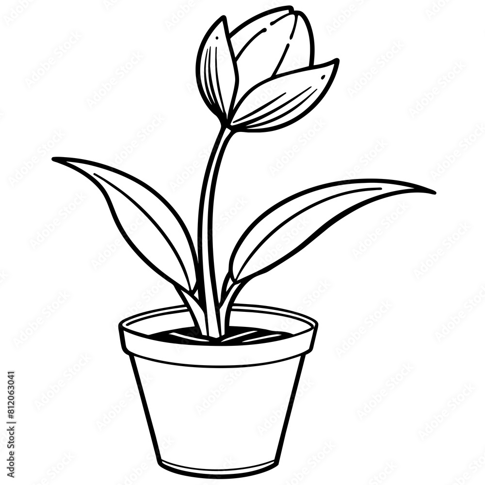 Tulip flower outline coloring book page line art drawing vector illustration for children and adults Tulip flower outline coloring book page line art drawing vector illustration for children and adults