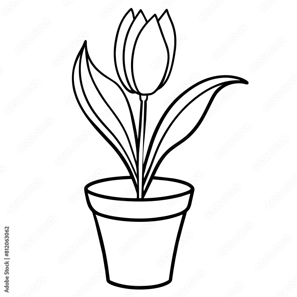 Tulip flower outline coloring book page line art drawing vector illustration for children and adults Tulip flower outline coloring book page line art drawing vector illustration for children and adults