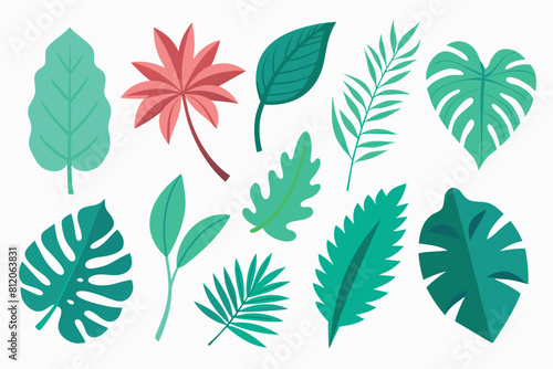 Set of tropical Leaves Vectors design