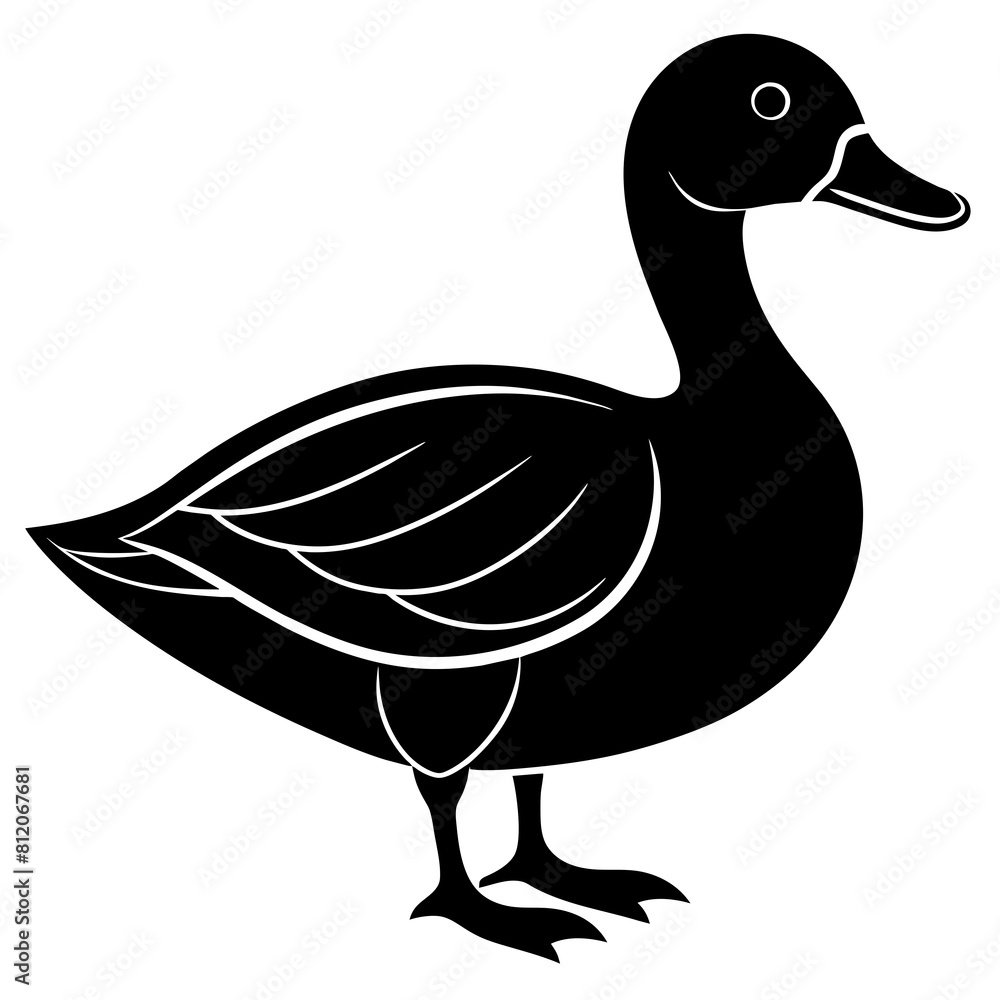 A Duck silhouette on white background A Duck silhouette on white background