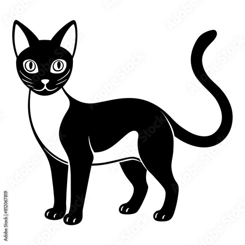 Anatomy Thai black cat vector silhouette on white background 