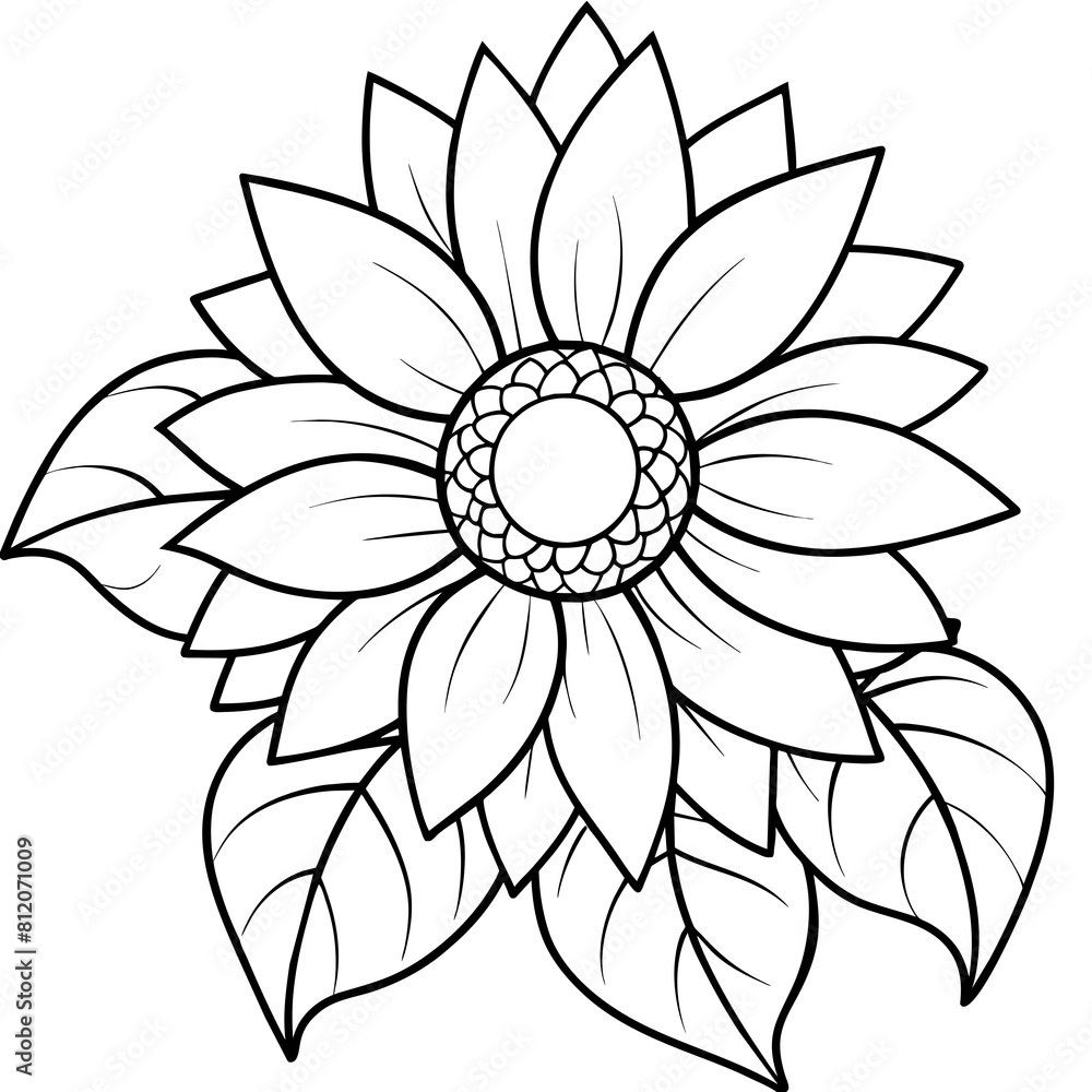 Sunflower outline coloring book page line art drawing vector illustration for children and adults Sunflower outline coloring book page line art drawing vector illustration for children and adults