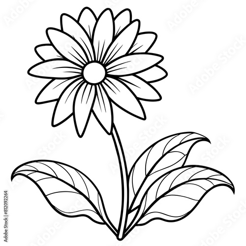 Daisy flower outline coloring book page line art drawing vector illustration for children and adults