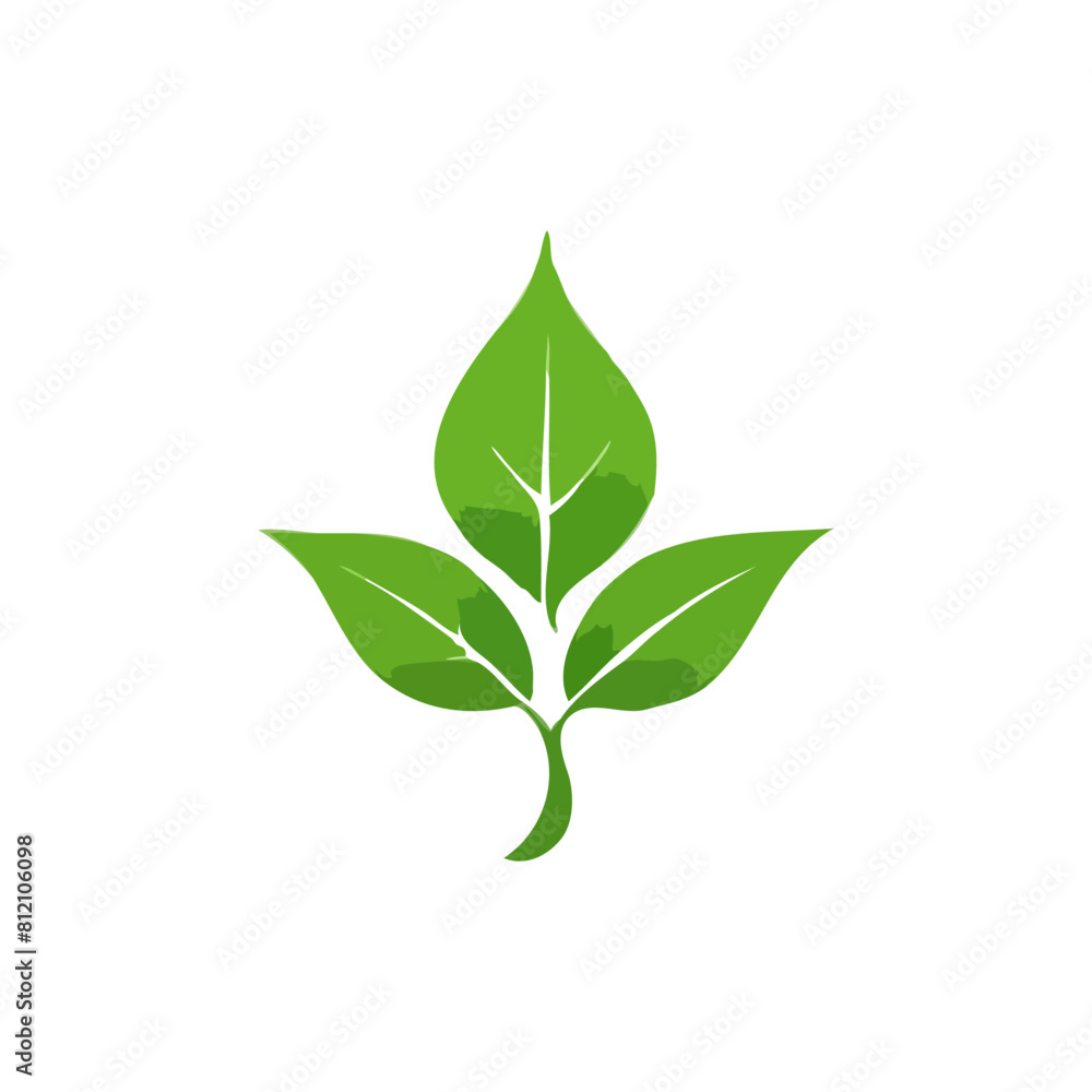 green leaf  vector icons, leaf logo design