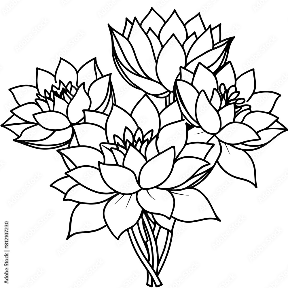 Lotus flower outline coloring book page line art drawing vector illustration for children and adults Lotus flower outline coloring book page line art drawing vector illustration for children and adults