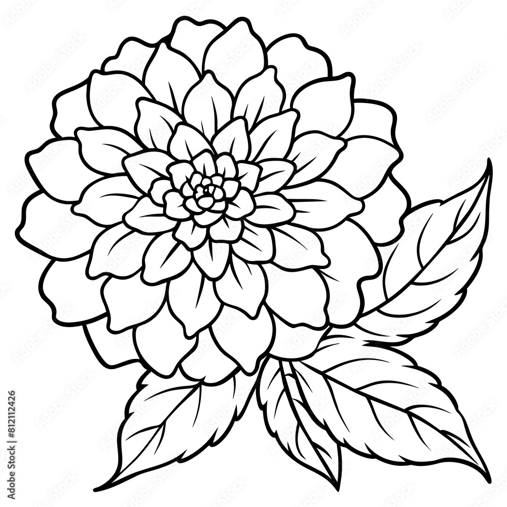 Marigold flower outline coloring book page line art drawing vector illustration for children and adults Marigold flower outline coloring book page line art drawing vector illustration for children and adults
