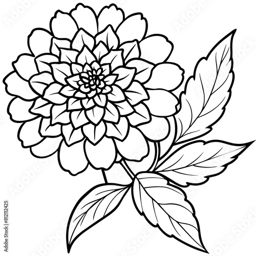Marigold flower outline coloring book page line art drawing vector illustration for children and adults