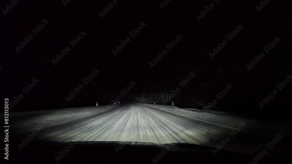 Driving on snowy road at night in forest.