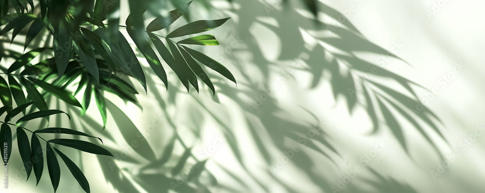 Sunlight filters through lush green leaves, creating a tranquil and serene scene
